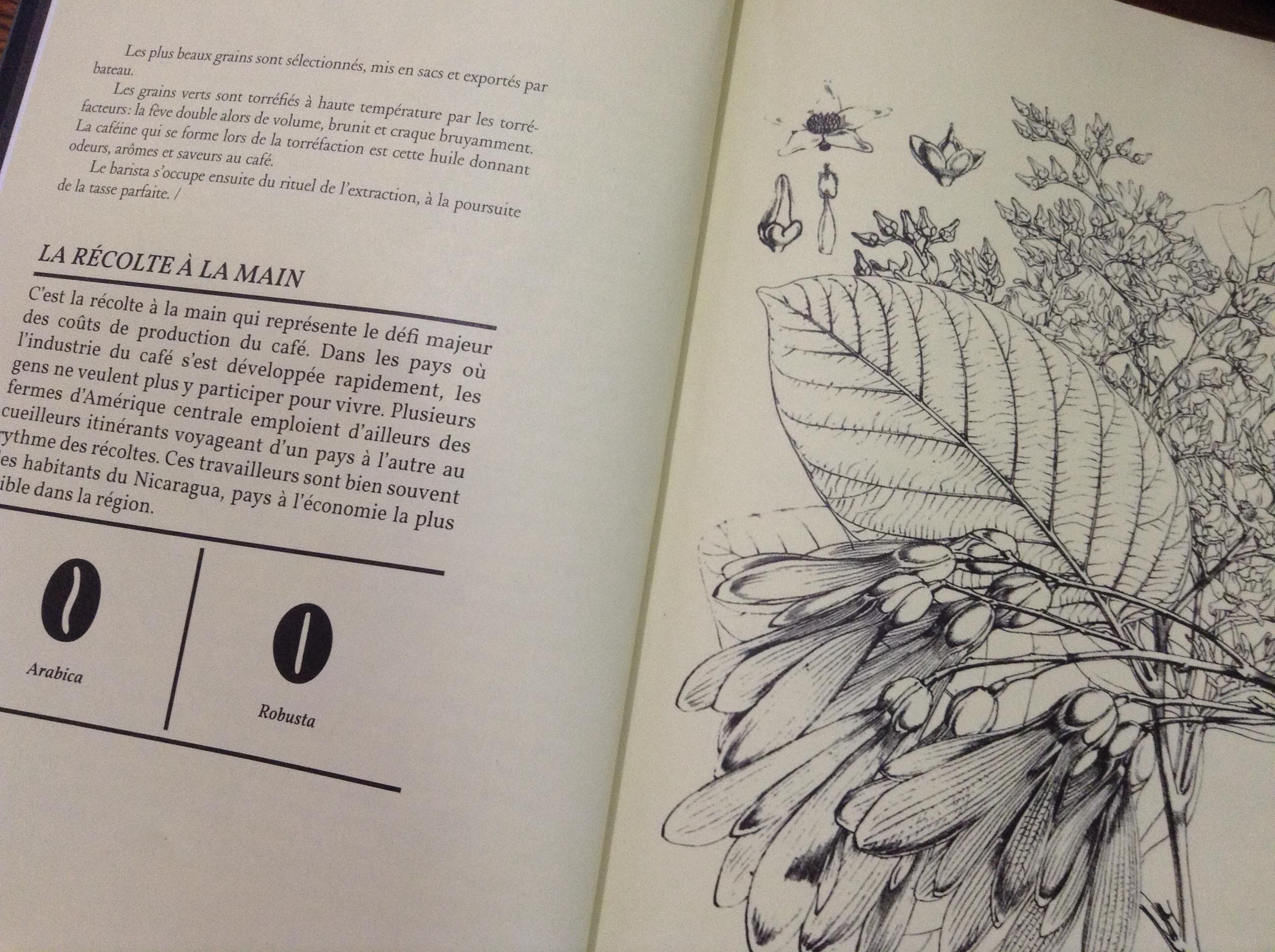 51730792_438142266926868_36586240824311808_n