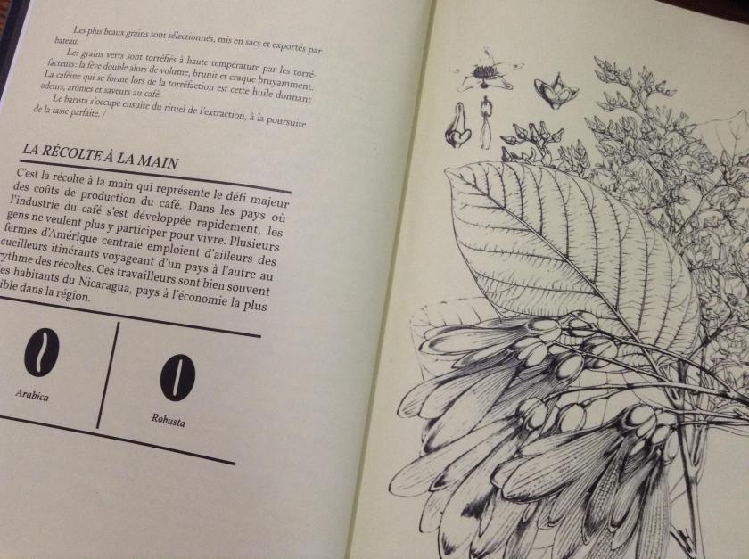 51730792_438142266926868_36586240824311808_n