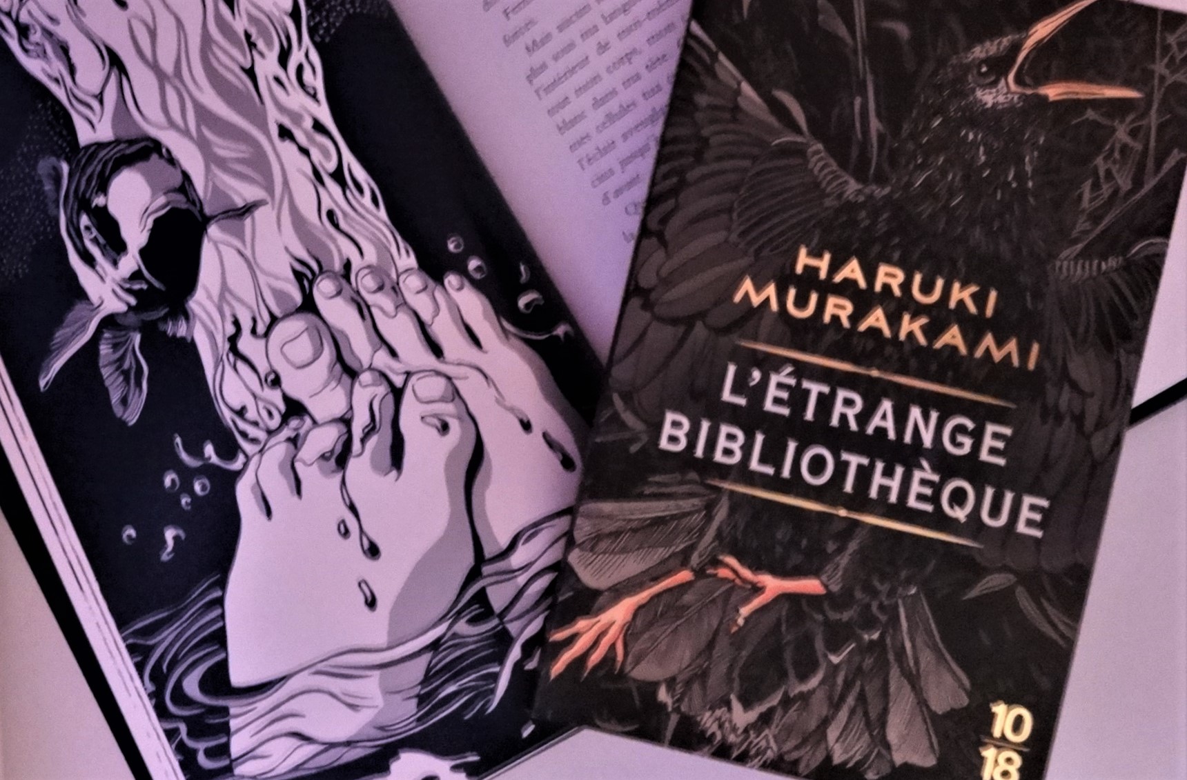 Le fil rouge livres lecture littérature étrangère Japon L'étrange bibliothèque Haruki Murakami nouvelle illustrations Kat Menschik
