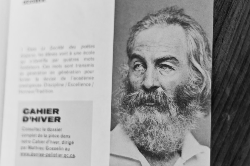 Poésie, Walt Whitman, Journée internationale de la poésie, Feuilles d'herbe, Recueil, Littérature américaine, Le Fil rouge, Le Fil rouge lit