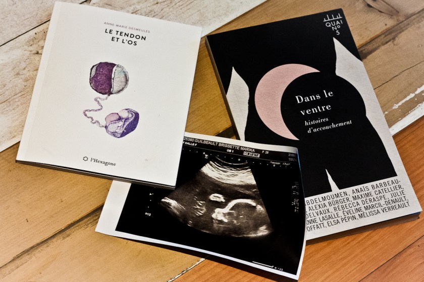 Maternité, Bébé, enfant, enceinte, accouchement, Le tendon et l'os, Anne-Marie Desmeules, Dans le ventre : Histoires d'accouchement, Collectif, Expériences personnelles, Littérature, Poésie, L'Hexagone, Quai #5, Le Fil Rouge lit, Littérature québécoise