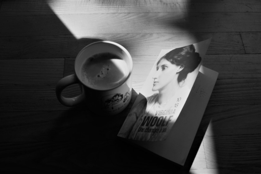 #lefilrouge #lefilrougelit #bibliothérapie #leslivresquifontdubien #littérature #livres #lecture féminisme essai féminisme Virginia Woolf une chambre à soi réflexion féministe femme roman essai Histoire des femmes