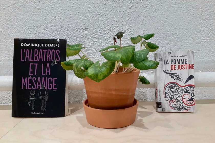 Le fil rouge, Le fil rouge lit, #Lefilrouge, #Lefilrougelit, Bibliothérapie, Lecture, Littérature, Roman québécois, adolescents, Québec Amérique, L'albatros et la mésange, Dominique Demers, La pomme de Justine, Valérie Harvey, rencontre, amour, différence, narration alternée, amitié