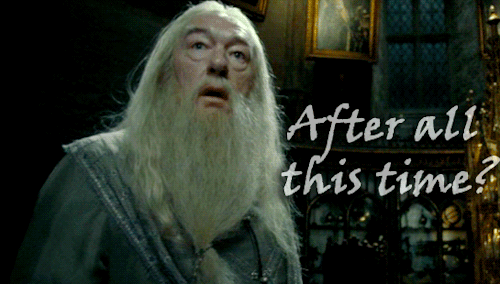 Harry Potter temps lire livres lecture littérature jeunesse enfant Le fil rouge