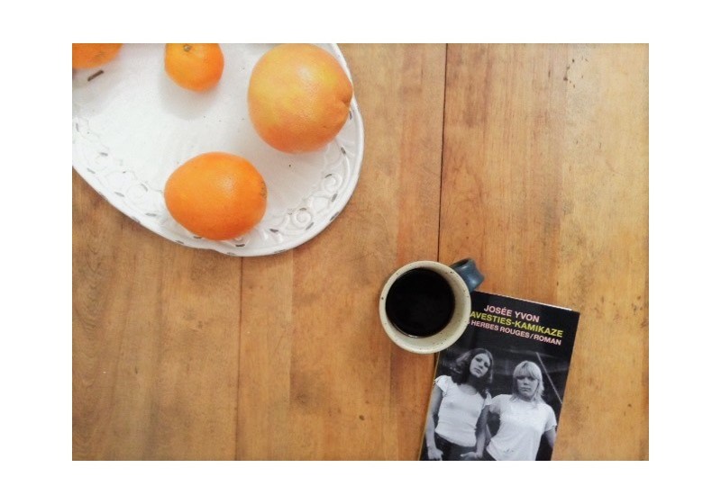 le fil rouge, le fil rouge lit, littérature, livres, les livres qui font du bien, bibliothérapie, les Herbes rouges, Travesties-Kamikaze, Josée Yvon, littérature québécoise, livre sur les transgenres, recueil de poésie québécois, littérature de la marginalité